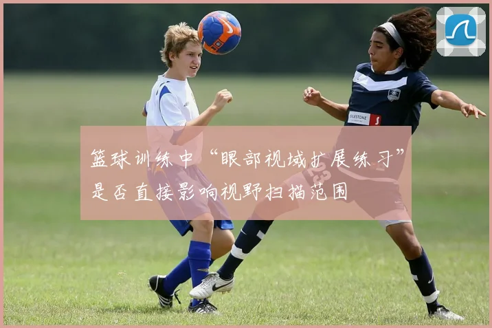 篮球训练中“眼部视域扩展练习”是否直接影响视野扫描范围