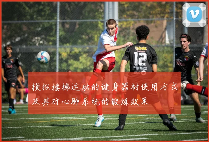 模拟楼梯运动的健身器材使用方式及其对心肺系统的锻炼效果